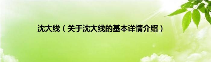 沈大线（关于沈大线的基本详情介绍）