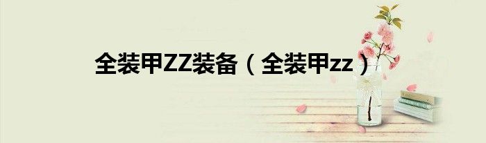 全装甲ZZ装备（全装甲zz）