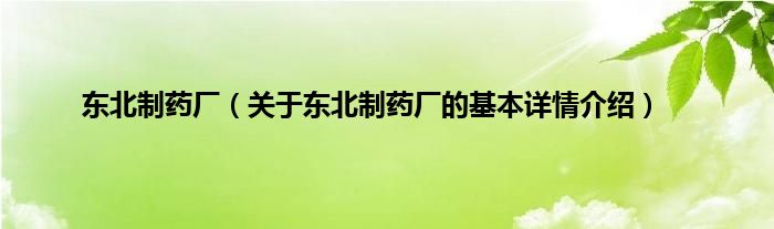 东北制药厂（关于东北制药厂的基本详情介绍）