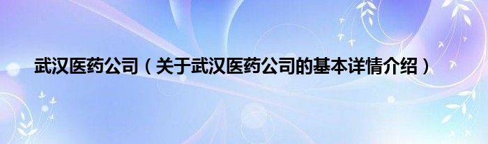 武汉医药公司（关于武汉医药公司的基本详情介绍）