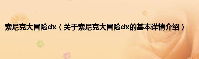 索尼克大冒险dx（关于索尼克大冒险dx的基本详情介绍）