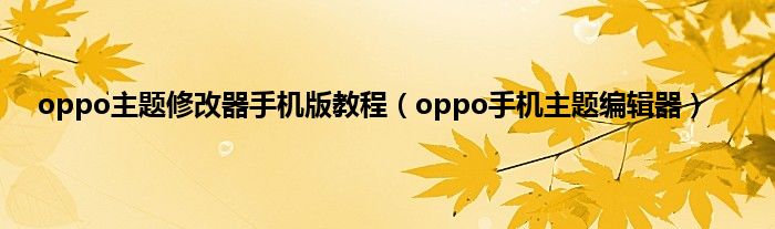 oppo主题修改器手机版教程（oppo手机主题编辑器）