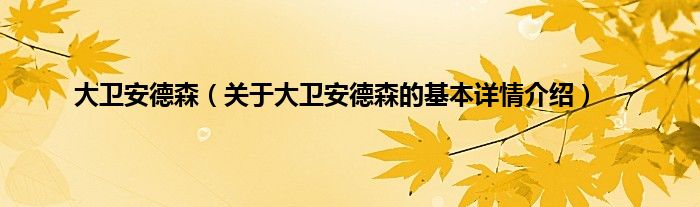 大卫安德森（关于大卫安德森的基本详情介绍）