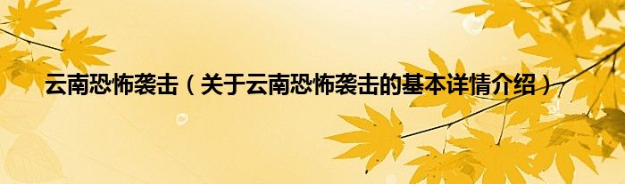 云南恐怖袭击（关于云南恐怖袭击的基本详情介绍）