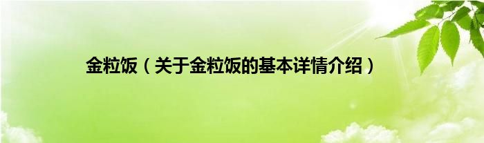 金粒饭（关于金粒饭的基本详情介绍）