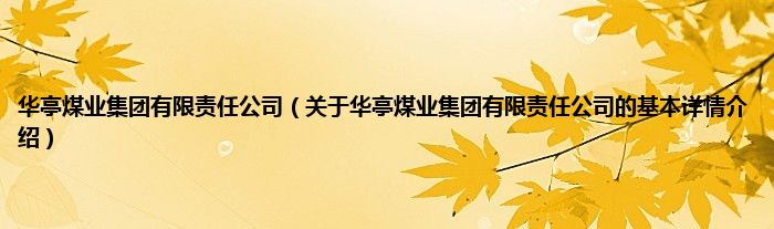 华亭煤业集团有限责任公司（关于华亭煤业集团有限责任公司的基本详情介绍）