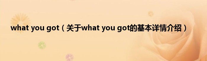 what you got（关于what you got的基本详情介绍）