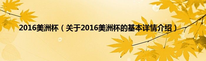 2016美洲杯（关于2016美洲杯的基本详情介绍）