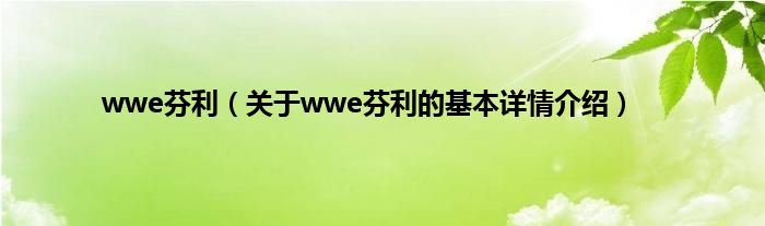 wwe芬利（关于wwe芬利的基本详情介绍）