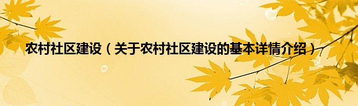 农村社区建设（关于农村社区建设的基本详情介绍）