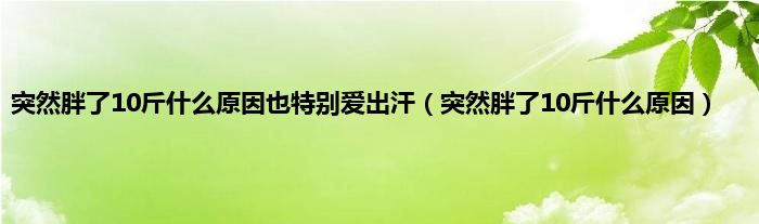 突然胖了10斤是什么原因也特别爱出汗（突然胖了10斤是什么原因）