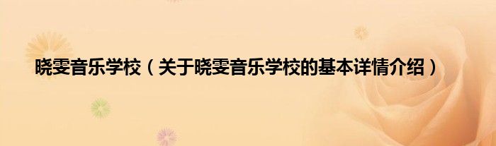 晓雯音乐学校（关于晓雯音乐学校的基本详情介绍）