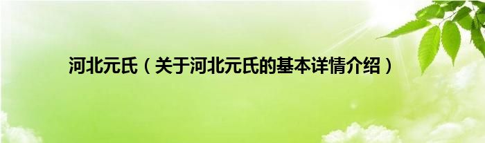 河北元氏（关于河北元氏的基本详情介绍）