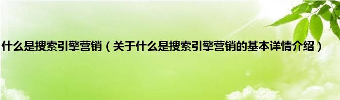 是什么是搜索引擎营销（关于是什么是搜索引擎营销的基本详情介绍）