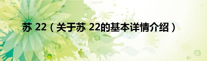 苏 22（关于苏 22的基本详情介绍）