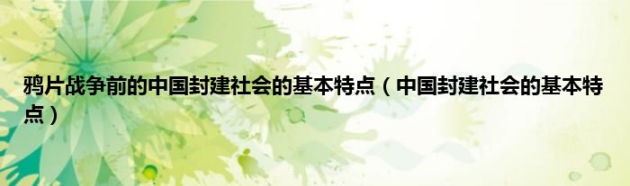 鸦片战争前的中国封建社会的基本特点（中国封建社会的基本特点）