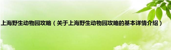 上海野生动物园攻略（关于上海野生动物园攻略的基本详情介绍）