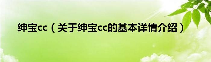 绅宝cc（关于绅宝cc的基本详情介绍）