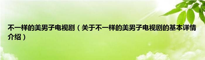 不一样的美男子电视剧（关于不一样的美男子电视剧的基本详情介绍）