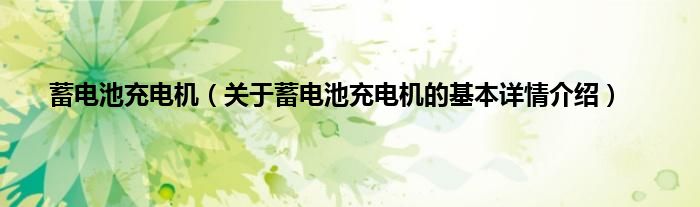 蓄电池充电机（关于蓄电池充电机的基本详情介绍）