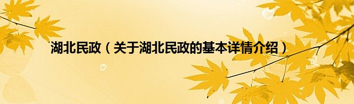 湖北民政（关于湖北民政的基本详情介绍）