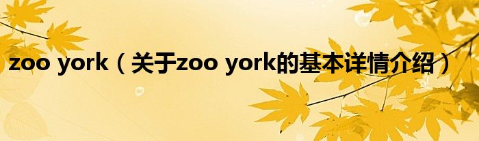 zoo york（关于zoo york的基本详情介绍）