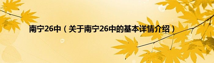 南宁26中（关于南宁26中的基本详情介绍）