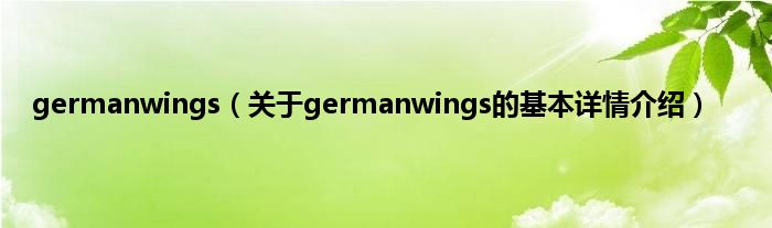 germanwings（关于germanwings的基本详情介绍）