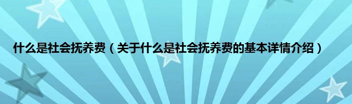 是什么是社会抚养费（关于是什么是社会抚养费的基本详情介绍）