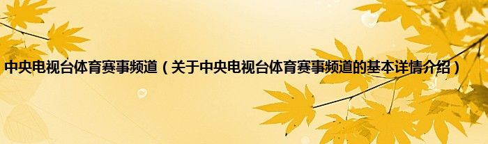 中央电视台体育赛事频道（关于中央电视台体育赛事频道的基本详情介绍）