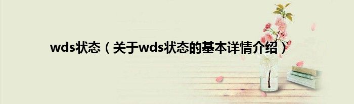 wds状态（关于wds状态的基本详情介绍）