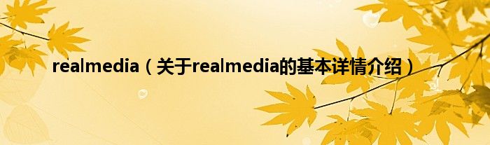 realmedia（关于realmedia的基本详情介绍）