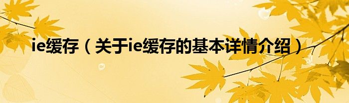 ie缓存（关于ie缓存的基本详情介绍）