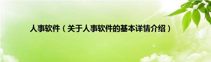 人事软件（关于人事软件的基本详情介绍）