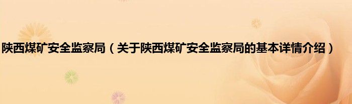 陕西煤矿安全监察局（关于陕西煤矿安全监察局的基本详情介绍）