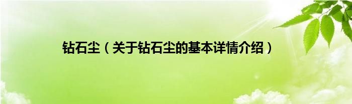 钻石尘（关于钻石尘的基本详情介绍）