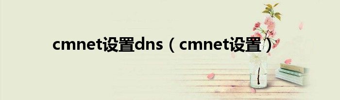 cmnet设置dns（cmnet设置）