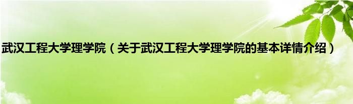 武汉工程大学理学院（关于武汉工程大学理学院的基本详情介绍）