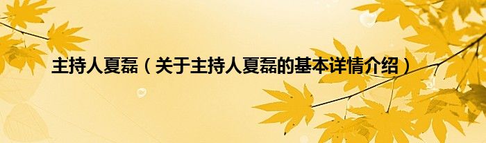 主持人夏磊（关于主持人夏磊的基本详情介绍）