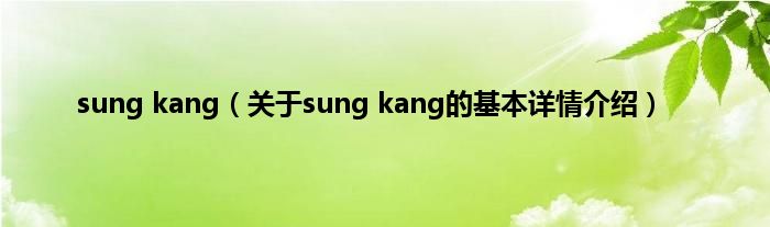 sung kang（关于sung kang的基本详情介绍）