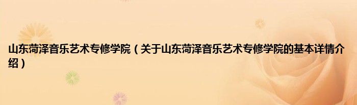 山东菏泽音乐艺术专修学院（关于山东菏泽音乐艺术专修学院的基本详情介绍）