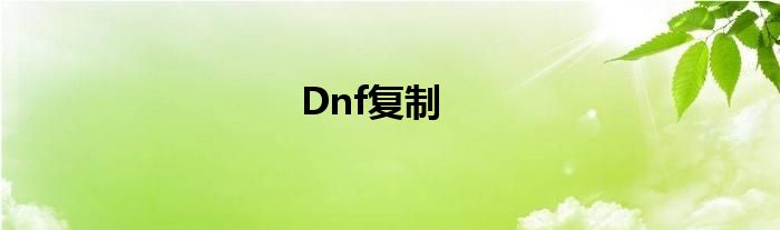 Dnf复制