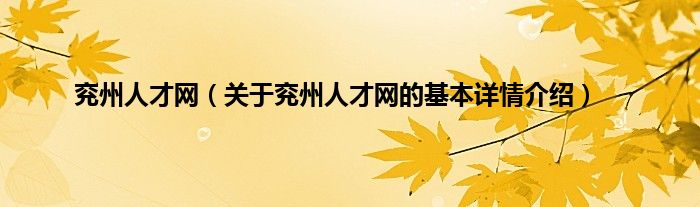 兖州人才网（关于兖州人才网的基本详情介绍）