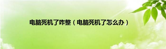 电脑死机了咋整（电脑死机了怎么办）