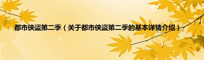 都市侠盗第二季（关于都市侠盗第二季的基本详情介绍）