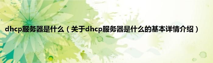 dhcp服务器是是什么（关于dhcp服务器是是什么的基本详情介绍）