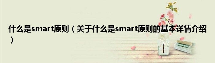 是什么是smart原则（关于是什么是smart原则的基本详情介绍）