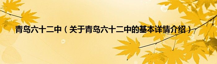 青岛六十二中（关于青岛六十二中的基本详情介绍）