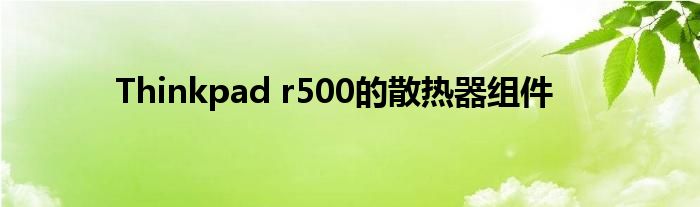 Thinkpad r500的散热器组件