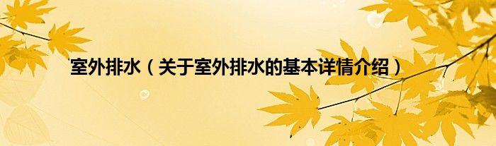 室外排水（关于室外排水的基本详情介绍）